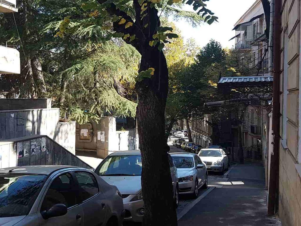 Solo Room Apartment Tbilisi Zewnętrze zdjęcie